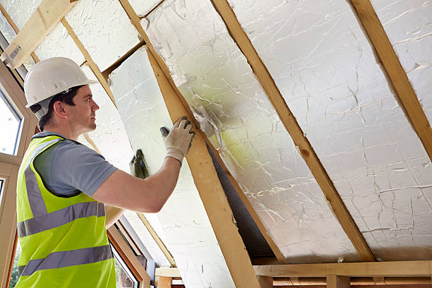 Best Insulation Maintenance and Repair in Greenfield, MN